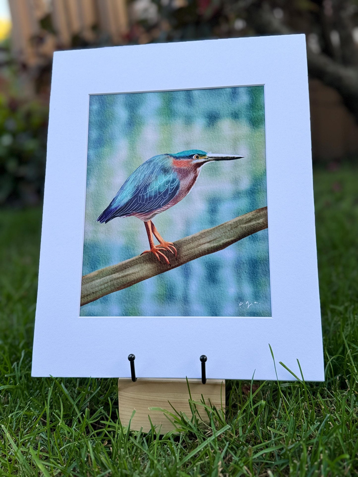 Bird Illustration_Green Heron_Watercolor Art Print