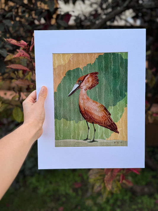 Hamerkop Bird Painting, African Waterbird Art, Nature Wall Decor, Wildlife Illustration, Scopus umbretta