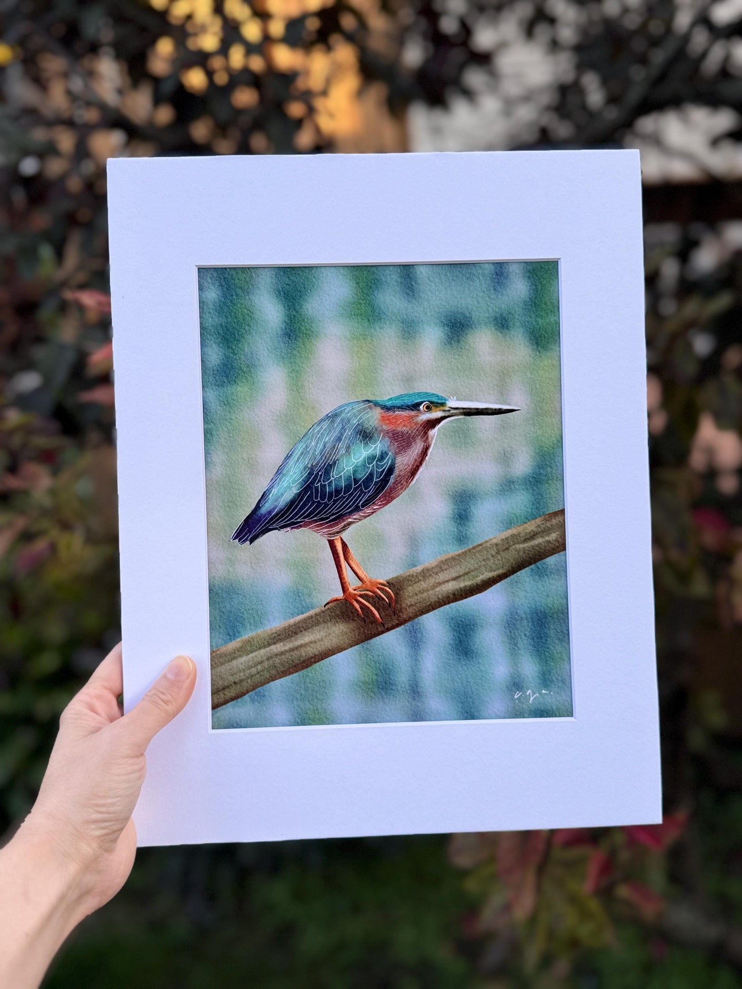 Bird Illustration_Green Heron_Watercolor Art Print