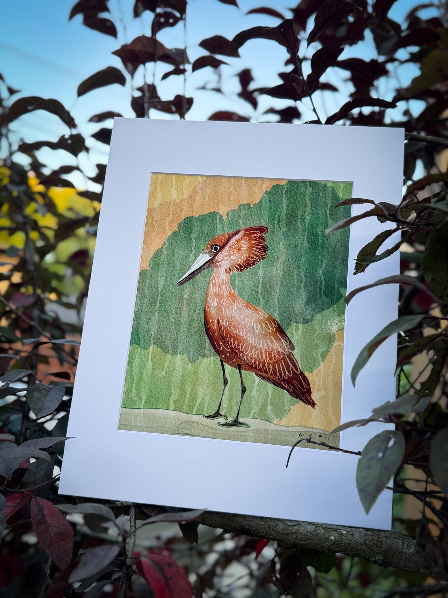 Hamerkop Bird Painting, African Waterbird Art, Nature Wall Decor, Wildlife Illustration, Scopus umbretta