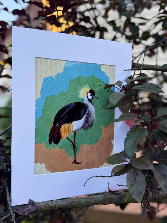 Bird Illustration_African Bird_Grey Crowned Crane_Balearica regulorum_Watercolor Art Print