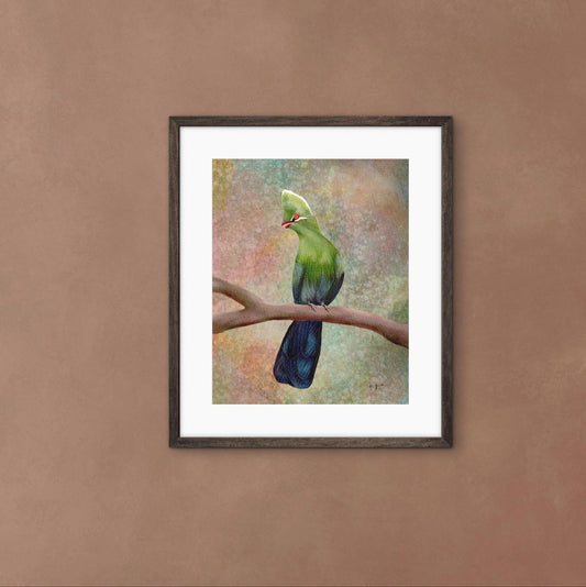 Bird Illustration _ Knysna turaco_Tauraco corythaix_Watercolor Bird Artwork