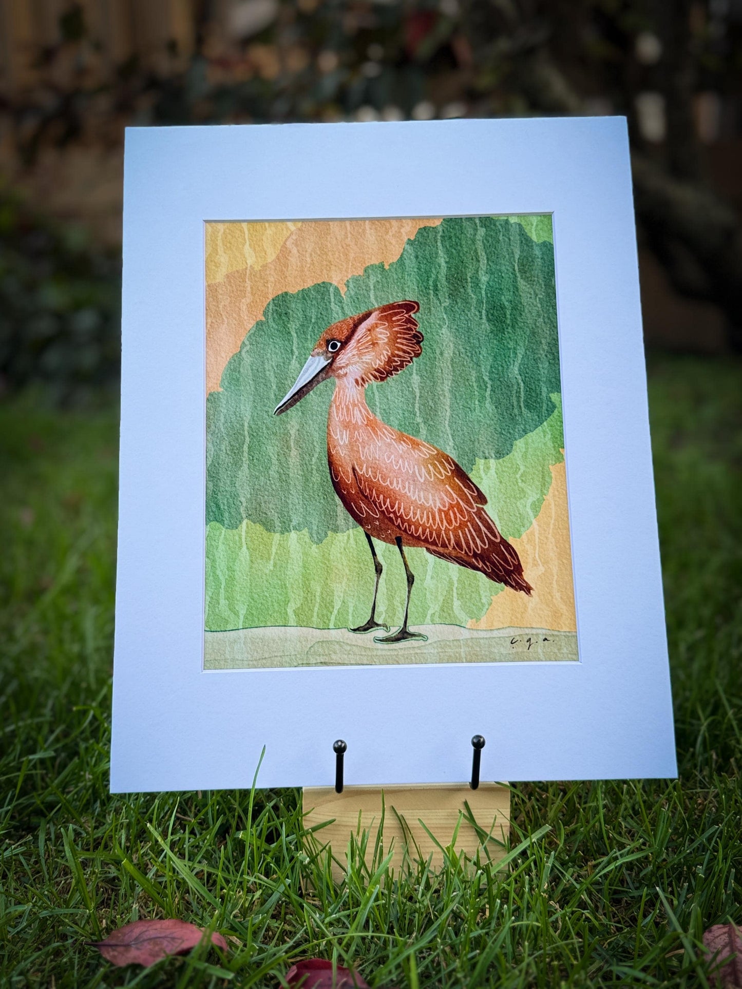 Hamerkop Bird Painting, African Waterbird Art, Nature Wall Decor, Wildlife Illustration, Scopus umbretta