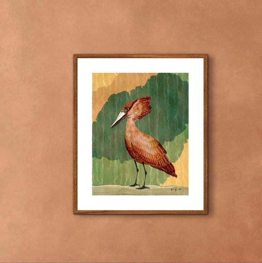 Hamerkop Bird Painting, African Waterbird Art, Nature Wall Decor, Wildlife Illustration, Scopus umbretta