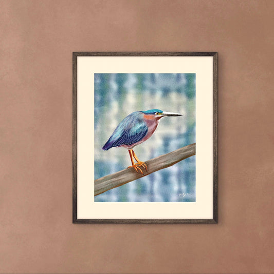 Bird Illustration_Green Heron_Watercolor Art Print