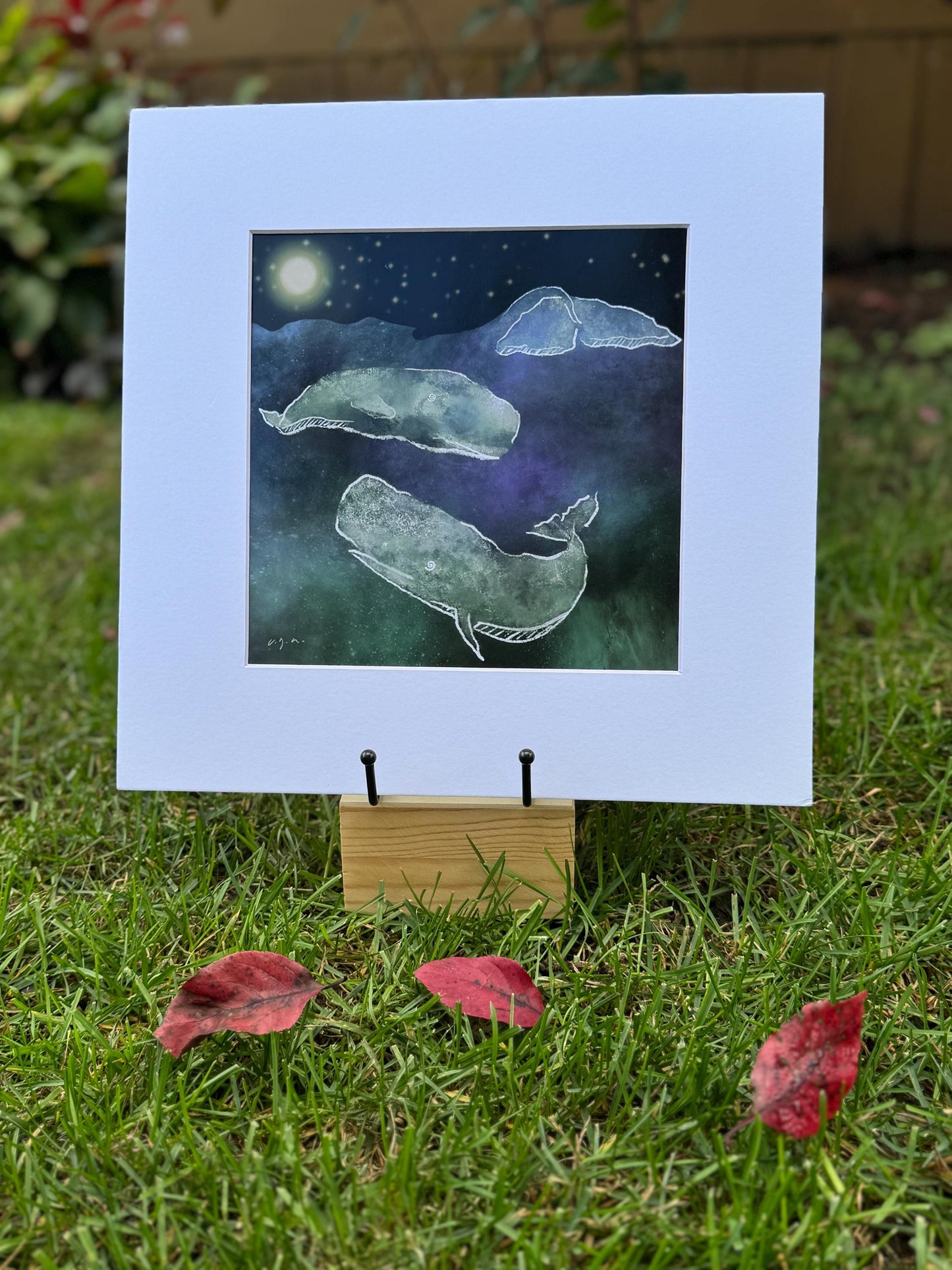 Sperm Whales in the Dark_ Physeter macrocephalus_Matted Wall Art