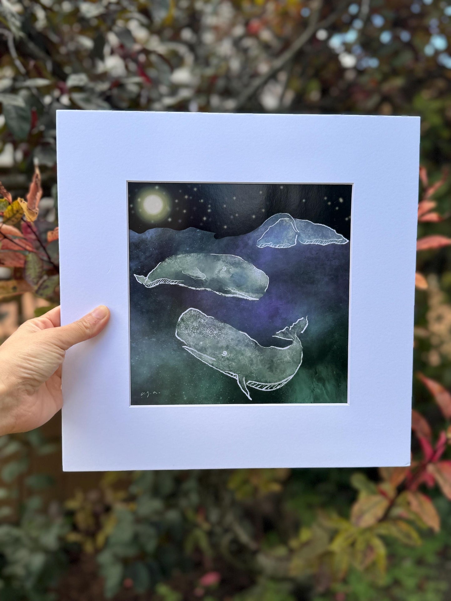 Sperm Whales in the Dark_ Physeter macrocephalus_Matted Wall Art