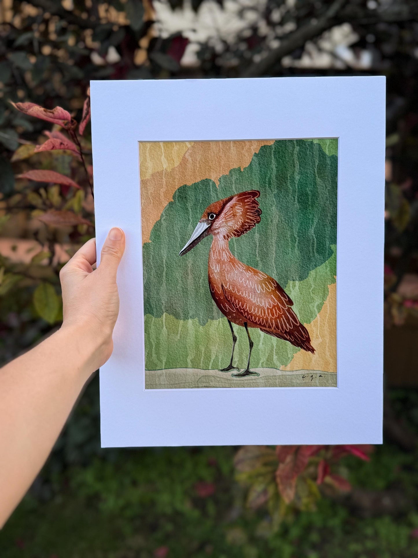 Hamerkop Bird Painting, African Waterbird Art, Nature Wall Decor, Wildlife Illustration, Scopus umbretta